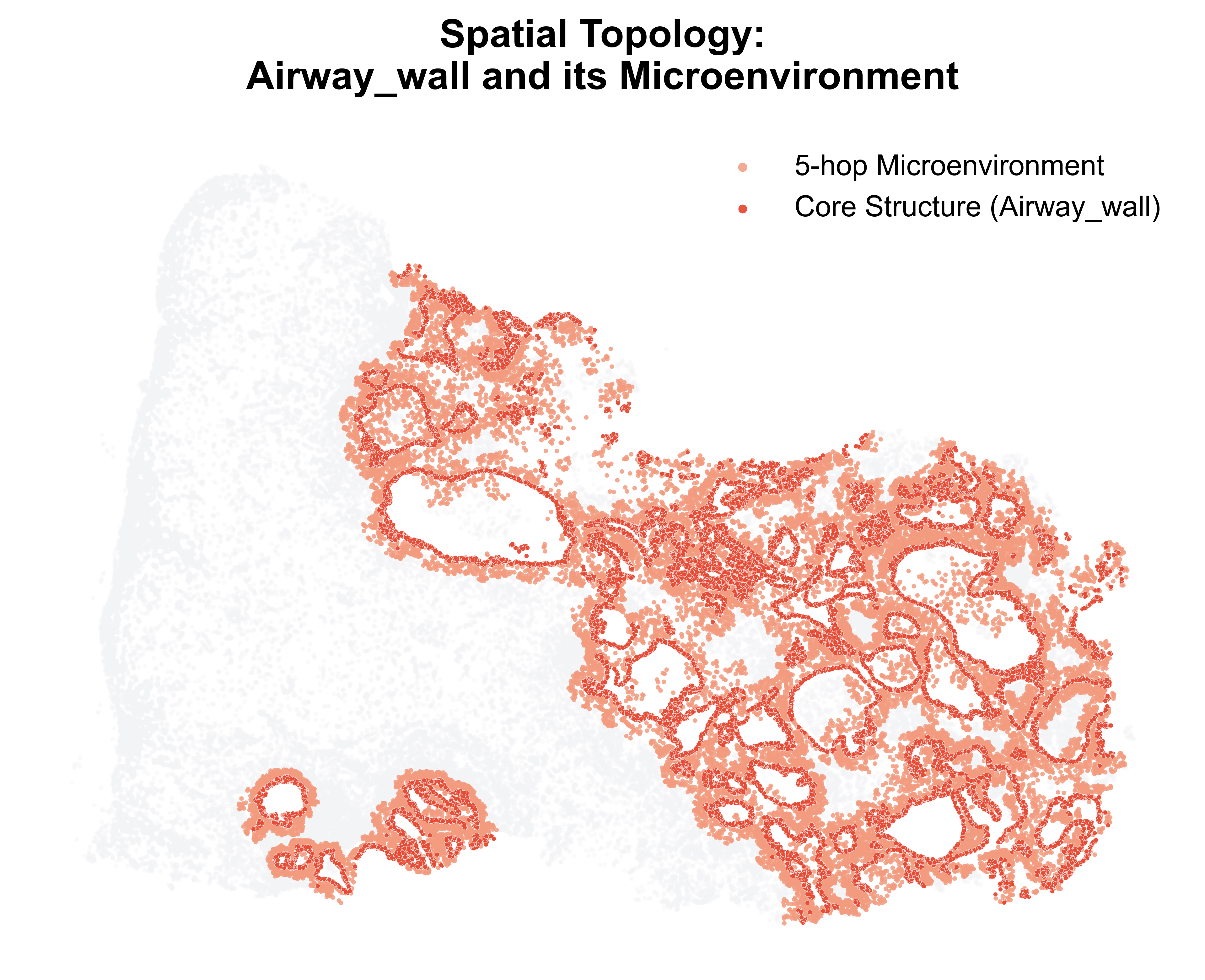 _images/Tutorial_3_neighborhood_analysis_10_3.png